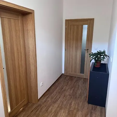 Apartment Hanacke *